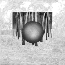 Penumbra Vortex - Phases (LP)