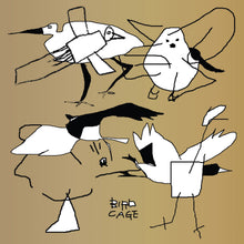Various Artists - Bird Cage: Birdfriend Archives (LP)