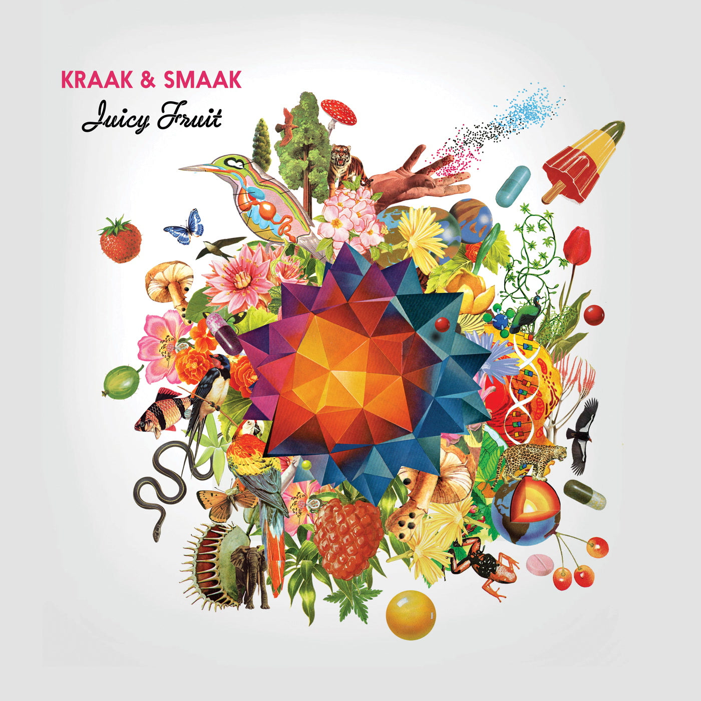 Kraak & Smaak - Juicy Fruit (LP)