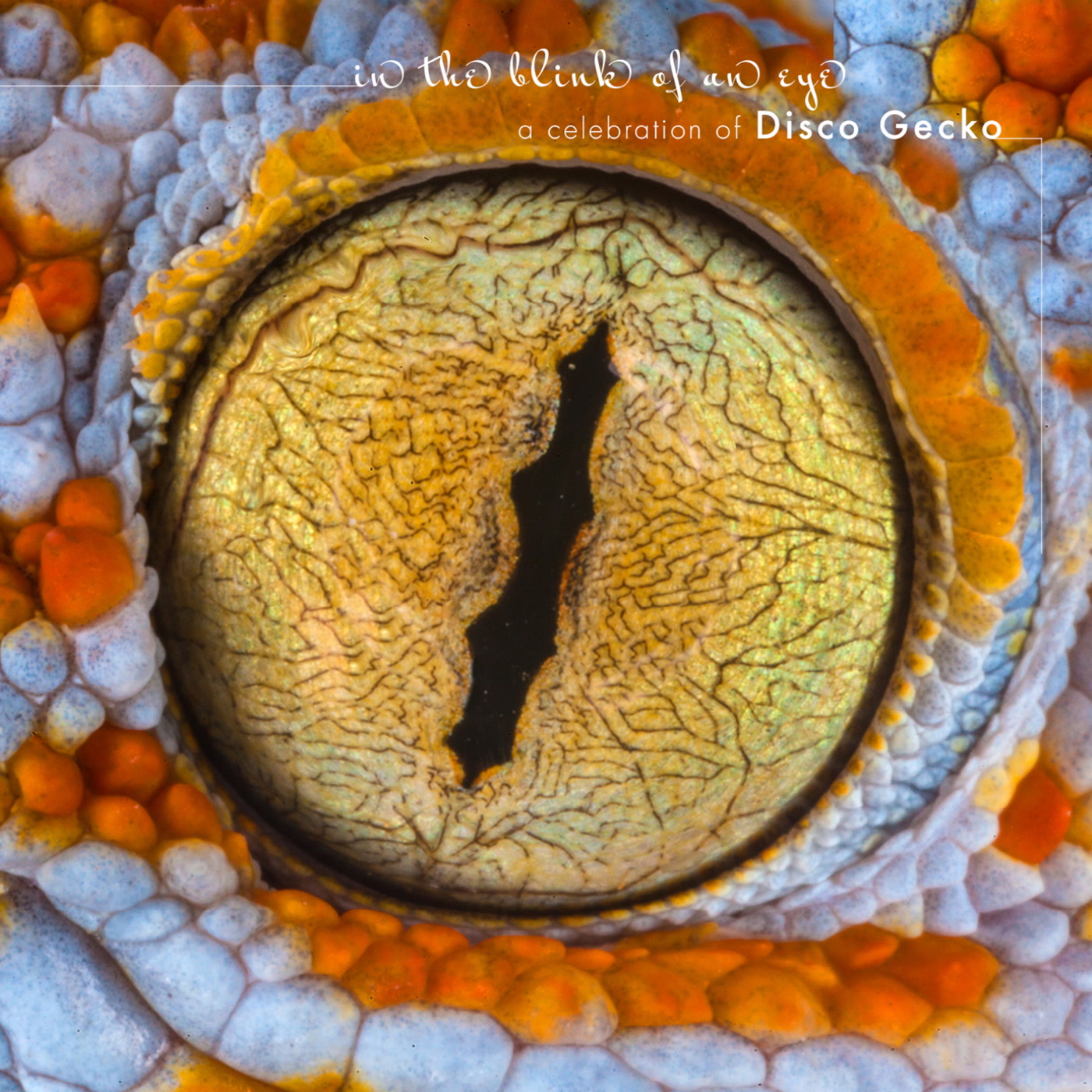Various Artists - In the Blink of an Eye (CD)