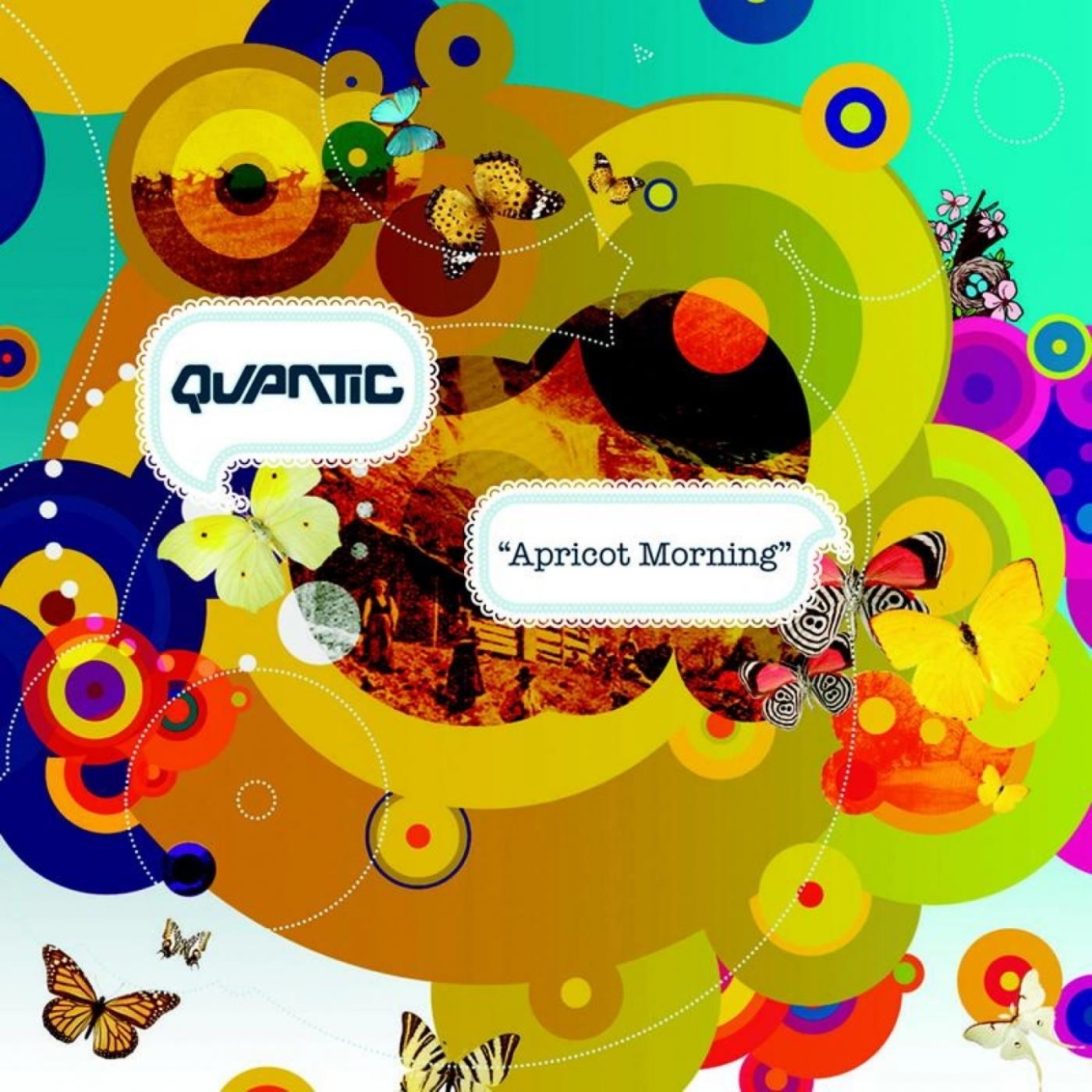 Quantic - Apricot Morning (LP)