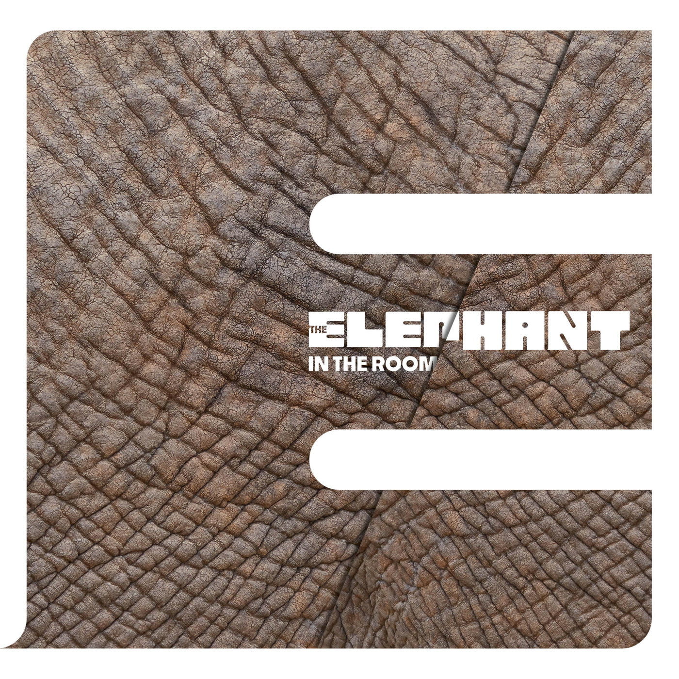 The Elephant - In the Room (LP)