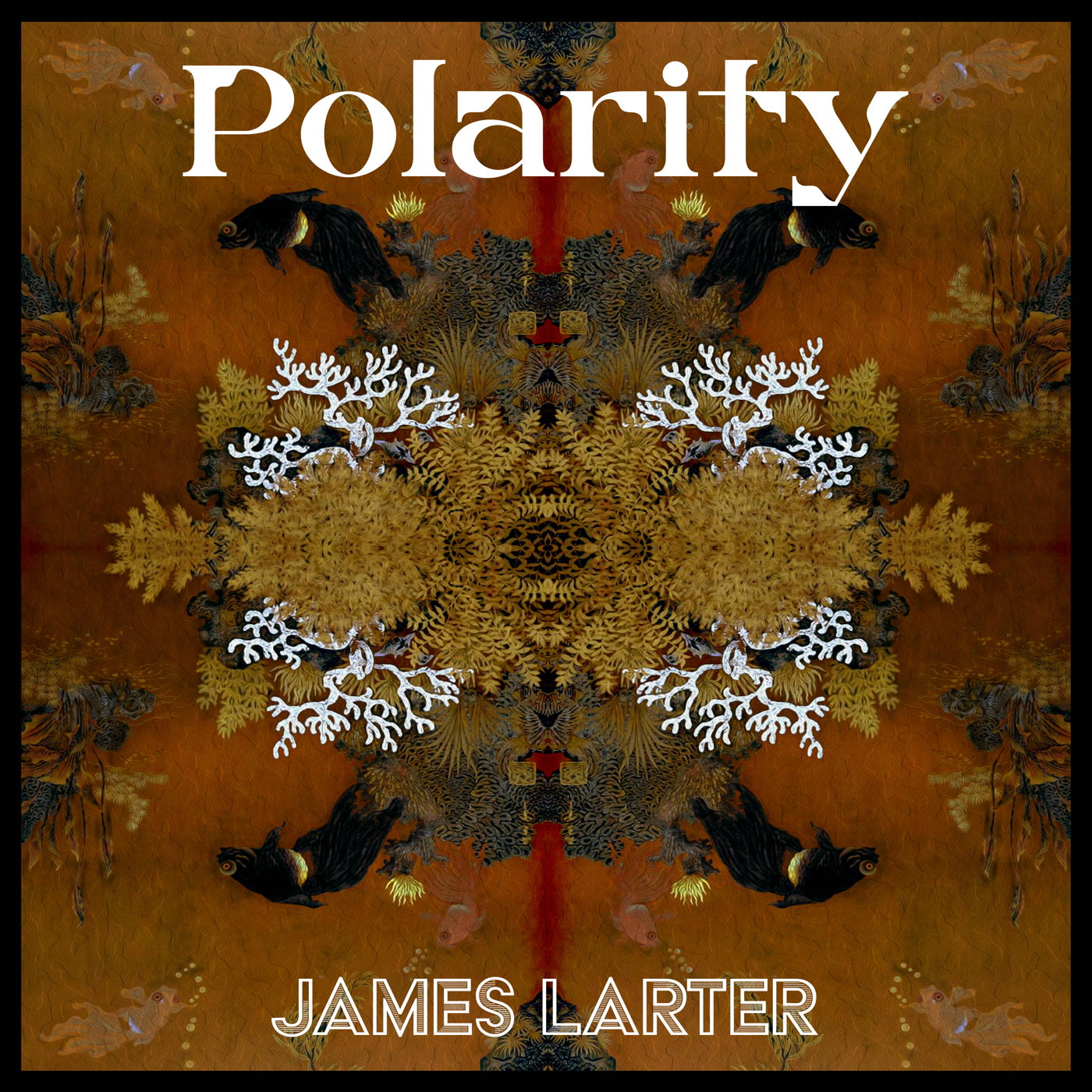 James Larter - Polarity (LP)