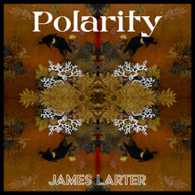 James Larter - Polarity (LP)