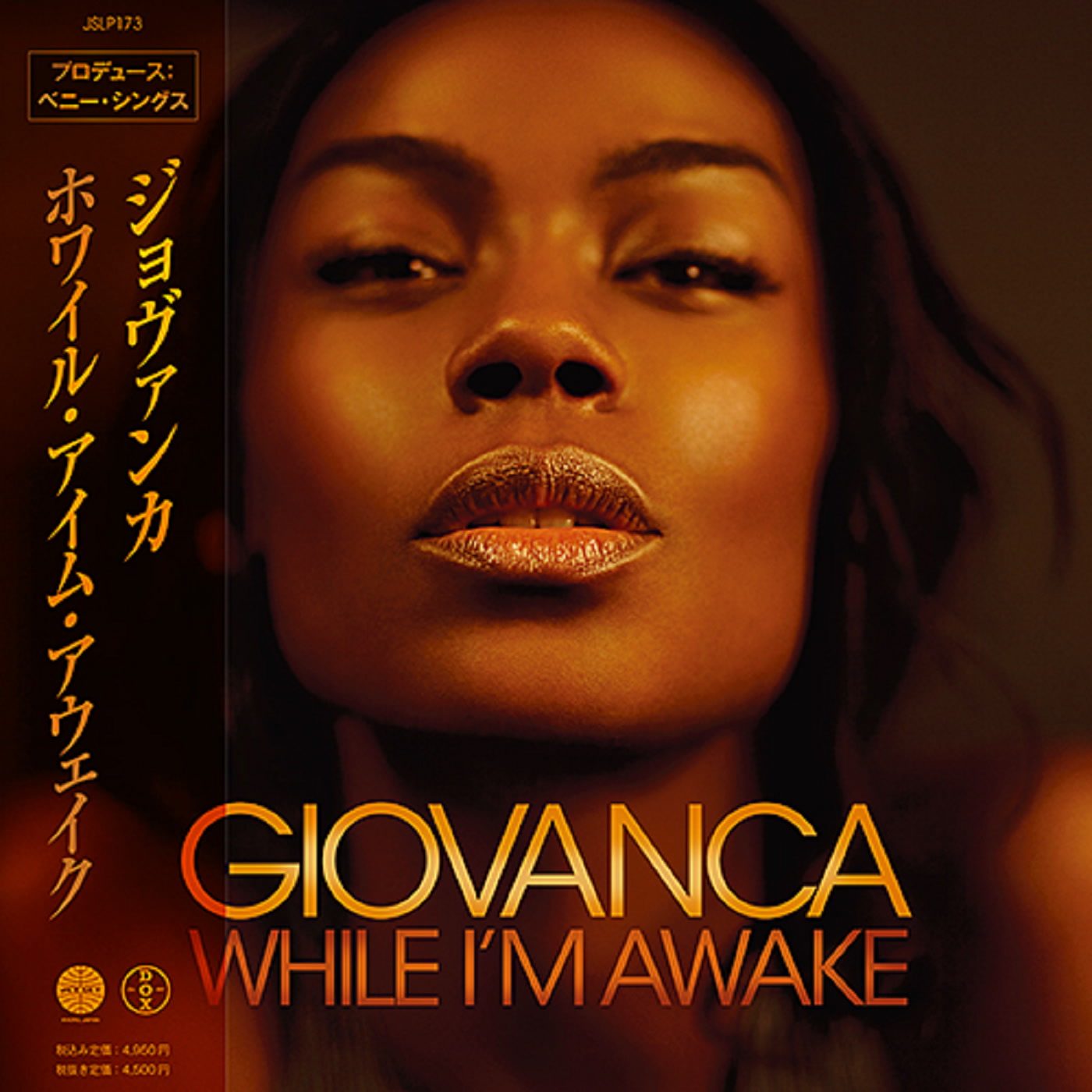 GIOVANCA - WHILE I'M AWAKE (LP)