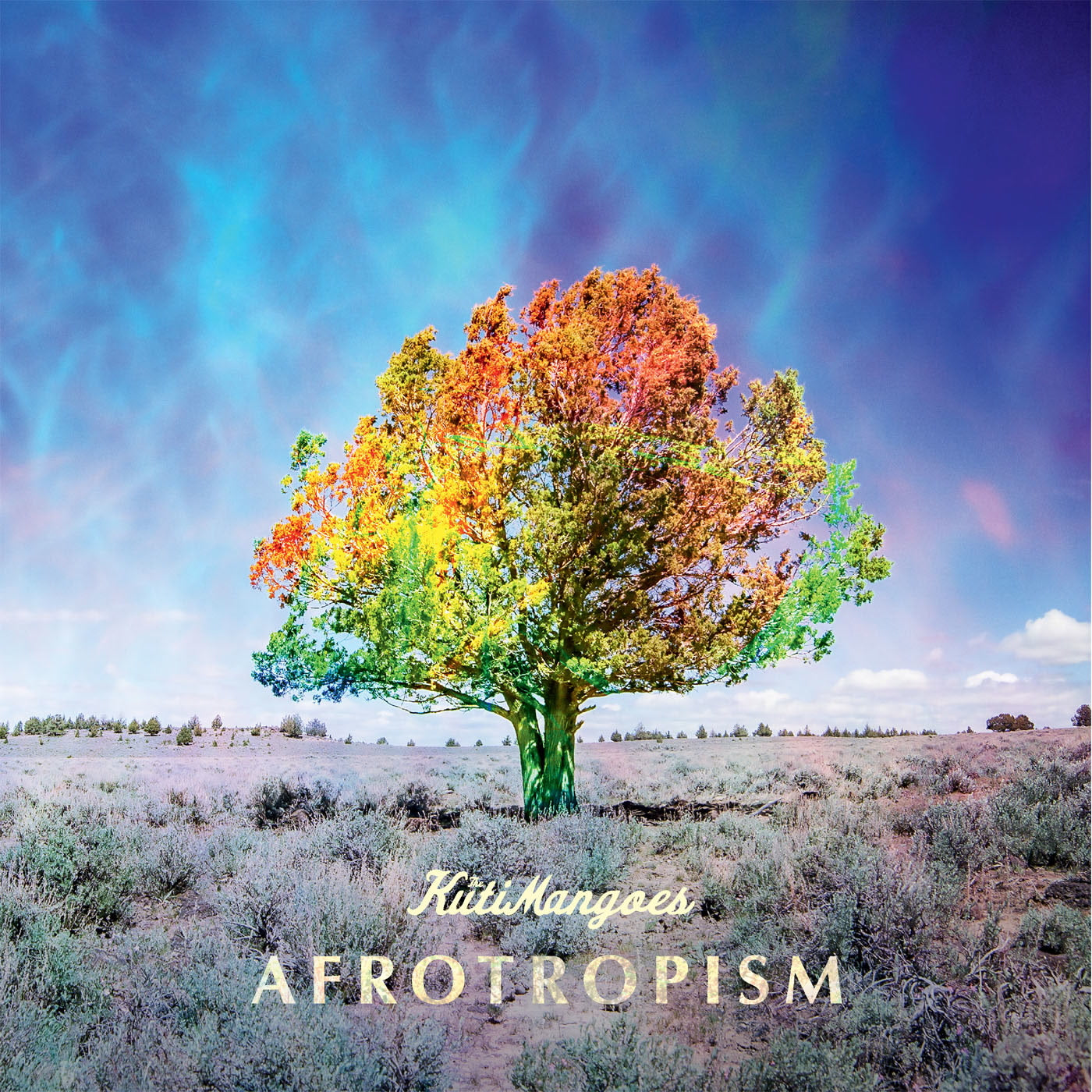 The KutiMangoes & Sunbörn - Afrotropism (CD)