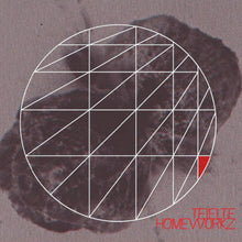 Teielte - Homeworkz (LP)