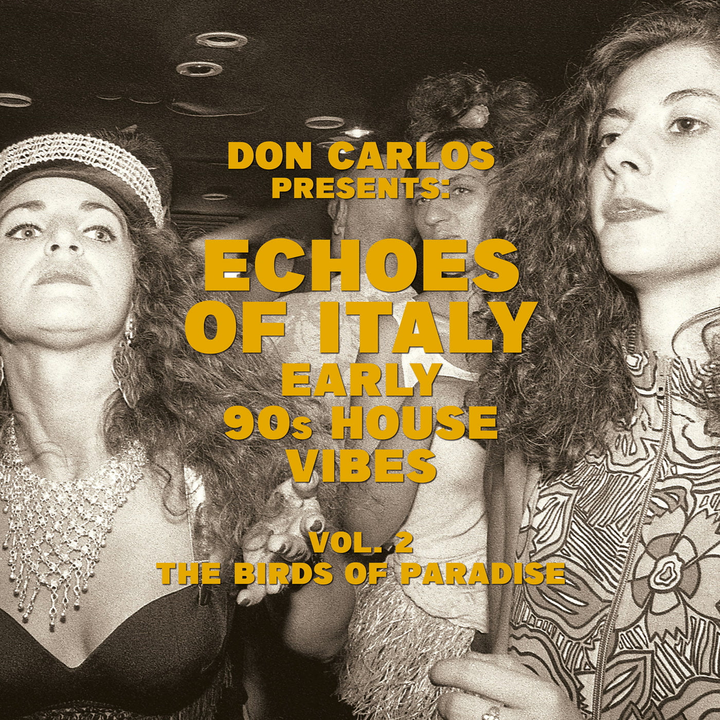 Various Artists - Echoes Of Italy - Early 90s House Vibes Vol.2 - The Birds Of Paradise (LP)