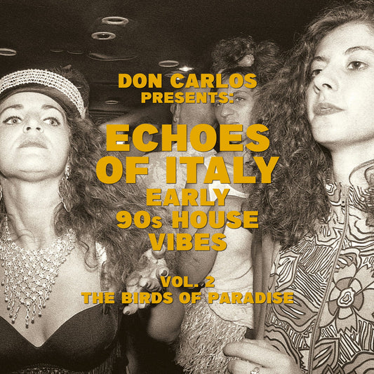 Various Artists - Echoes Of Italy - Early 90s House Vibes Vol.2 - The Birds Of Paradise (LP)