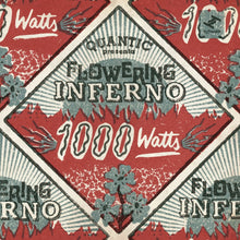 Flowering Inferno & Quantic - 1000 Watts (CD)