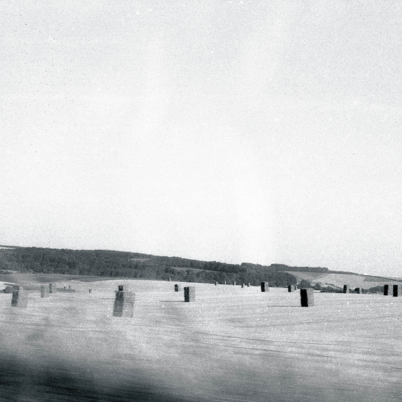 drøne - feral (CD)
