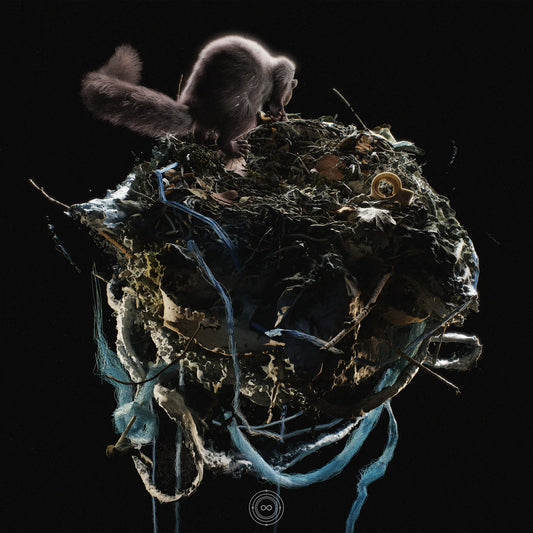 BOLT RUIN - Ehkta (LP)