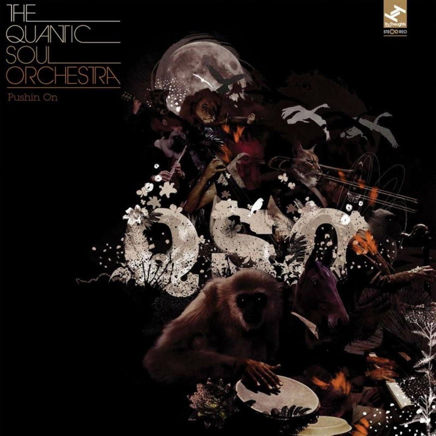 The Quantic Soul Orchestra - Pushin' On (CD)