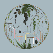 El Búho - Tributaries Vol. 2 (LP)